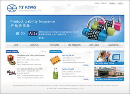 網站設計與軟件開發 雙翼齊飛，共創數字未來